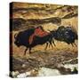 Cave Art: Bison-null-Stretched Canvas