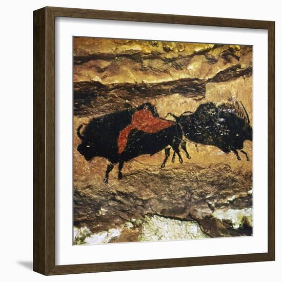 Cave Art: Bison-null-Framed Photographic Print