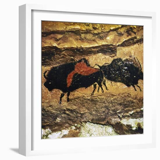 Cave Art: Bison-null-Framed Photographic Print