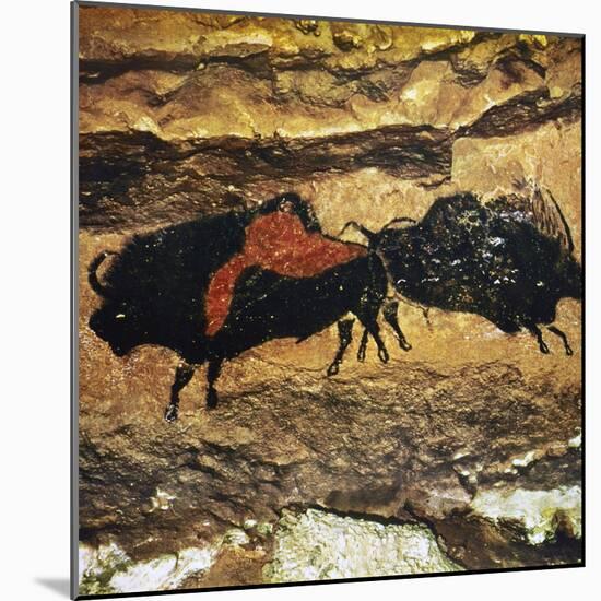 Cave Art: Bison-null-Mounted Photographic Print