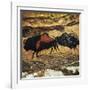 Cave Art: Bison-null-Framed Photographic Print