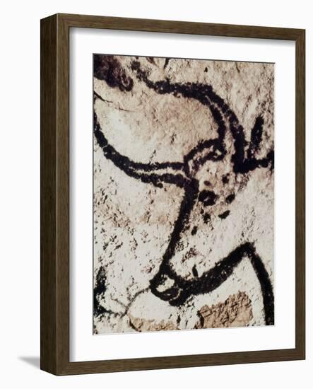 Cave Art: Lascaux-null-Framed Giclee Print