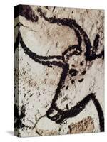 Cave Art: Lascaux-null-Stretched Canvas