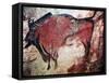 Cave Art-null-Framed Stretched Canvas