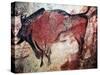 Cave Art-null-Stretched Canvas