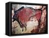 Cave Art-null-Framed Stretched Canvas