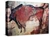 Cave Art-null-Stretched Canvas