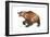 Cave Bear-Tim Knepp-Framed Giclee Print