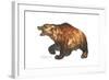 Cave Bear-Tim Knepp-Framed Giclee Print