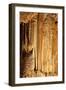 Cave Details-macropixel-Framed Photographic Print