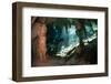 Cave Diving in Cenote-Marcus Bay-Framed Photographic Print