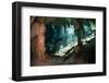 Cave Diving in Cenote-Marcus Bay-Framed Photographic Print