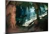 Cave Diving in Cenote-Marcus Bay-Mounted Photographic Print