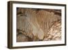 Cave Drapery-PvT Sales-Framed Photographic Print