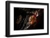 Cave Explorer, Speleologist Exploring the Underground-salajean-Framed Photographic Print