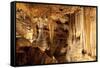 Cave Formations-macropixel-Framed Stretched Canvas