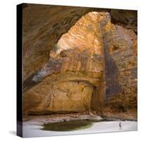 Cave in Waterfall Undercut-Tony Waltham-Stretched Canvas