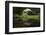 Cave Near Pelvin, Bulgaria, May 2008-Nill-Framed Photographic Print