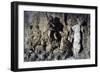 Cave of Buontalenti or Great Cave-null-Framed Giclee Print