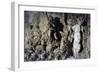 Cave of Buontalenti or Great Cave-null-Framed Giclee Print