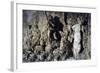 Cave of Buontalenti or Great Cave-null-Framed Giclee Print