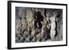 Cave of Buontalenti or Great Cave-null-Framed Giclee Print