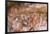 Cave of Hands in Patagonia, Argentina-Paul Souders-Framed Photographic Print