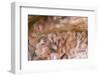 Cave of Hands in Patagonia, Argentina-Paul Souders-Framed Photographic Print