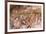 Cave of Hands in Patagonia, Argentina-Paul Souders-Framed Photographic Print