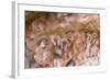 Cave of Hands in Patagonia, Argentina-Paul Souders-Framed Photographic Print