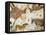 Cave of Lascaux, Ceiling of the Diverticulum: a Horse and Three Cows, C. 17,000 BC-null-Framed Stretched Canvas