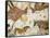 Cave of Lascaux, Ceiling of the Diverticulum: a Horse and Three Cows, C. 17,000 BC-null-Framed Stretched Canvas