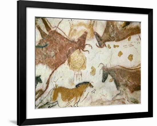 Cave of Lascaux, Ceiling of the Diverticulum: a Horse and Three Cows, C. 17,000 BC-null-Framed Giclee Print