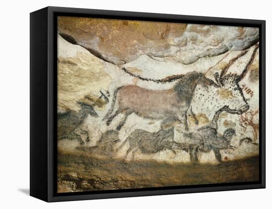 Cave of Lascaux, Great Hall, Left Wall: First Bull, Red Horse, Brown Horses, C. 17,000 BC-null-Framed Stretched Canvas