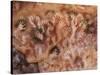 Cave of the Hands, Argentina-Javier Trueba-Stretched Canvas