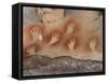 Cave of the Hands, Argentina-Javier Trueba-Framed Stretched Canvas