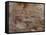 Cave of the Hands, Argentina-Javier Trueba-Framed Stretched Canvas