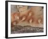 Cave of the Hands, Argentina-Javier Trueba-Framed Photographic Print