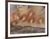 Cave of the Hands, Argentina-Javier Trueba-Framed Photographic Print