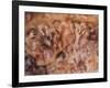 Cave of the Hands, Argentina-Javier Trueba-Framed Photographic Print