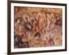 Cave of the Hands, Argentina-Javier Trueba-Framed Photographic Print