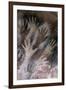 Cave of the Hands-null-Framed Premium Giclee Print