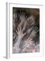 Cave of the Hands-null-Framed Art Print