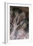 Cave of the Hands-null-Framed Art Print