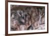 Cave of the Hands-null-Framed Premium Giclee Print