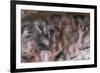 Cave of the Hands-null-Framed Premium Giclee Print