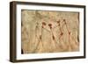 Cave Painting: Kolo Figures Depicting An Abduction-Sinclair Stammers-Framed Photographic Print