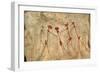 Cave Painting: Kolo Figures Depicting An Abduction-Sinclair Stammers-Framed Photographic Print