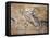 Cave Painting of Bird-Headed Man at Lascaux-null-Framed Stretched Canvas