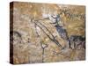 Cave Painting of Bird-Headed Man at Lascaux-null-Stretched Canvas